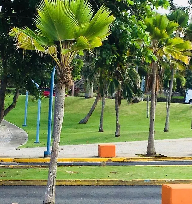 Favoriteplace1Br 1 Btr 2 A/Cs Tv Wf 1 Pk -4 Guests Apartment San Juan