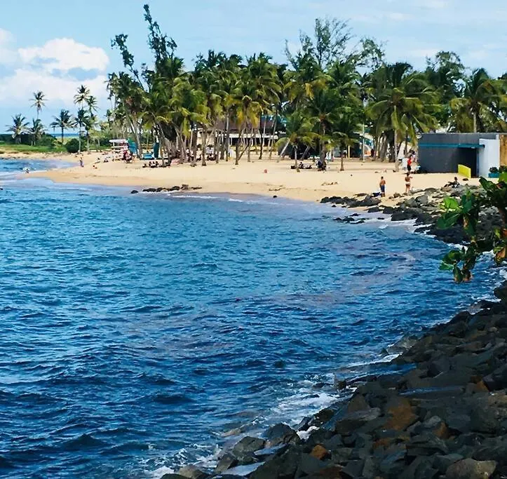 Favoriteplace1Br 1 Btr 2 A/Cs Tv Wf 1 Pk -4 Guests Lejlighed San Juan